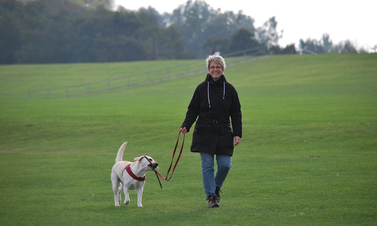 ŠETAJTE, LJUDI Jedna duža šetnja dnevno čini više za srce nego nekoliko kraćih!