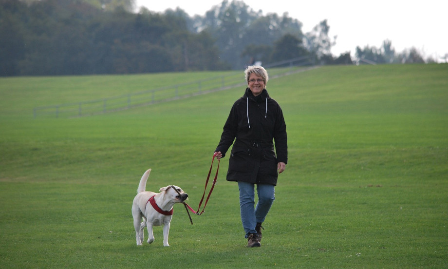 /data/images/2022-09-26/12072_zena-i-pas_kf.jpg ŠETAJTE, LJUDI Jedna duža šetnja dnevno čini više za srce nego nekoliko kraćih!