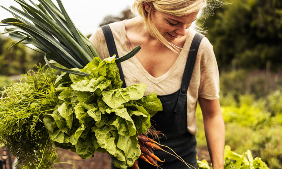 ŠTA POSADITI PORED LUKA ZA BOGAT ROD Jednostavan trik za krupne i zdrave glavice