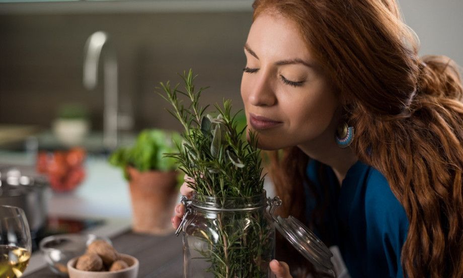 GRANČICA RUZMARINA MOŽE PROMENITI ATMOSFERU U VAŠEM DOMU Prirodan trik za svežiji i prijatniji prostor