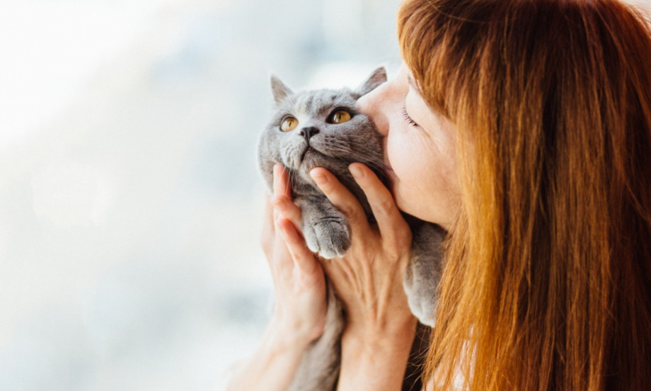 DA LI I MAČKE TREBAJU DA SE KUPAJU? Istina koju većina vlasnika ne zna!