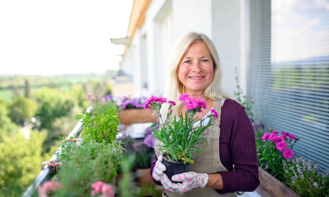 OVE BILJKE ČINE SVAKU TERASU NEODOLJIVOM Evo koje cvetove posaditi ovog proleća!