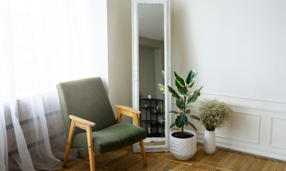 OVU BILJKU SADA IMA SVAKA MODERNA DNEVNA SOBA Kažu da čisti vazduh i podiže energiju doma!