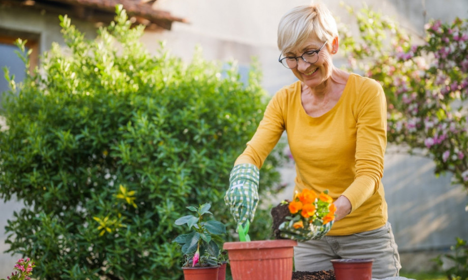 KAKO ZAŠTITITI BILJKE OD PRVIH MRAZEVA Da li ih uneti u kuću, pokriti ili ostaviti napolju?