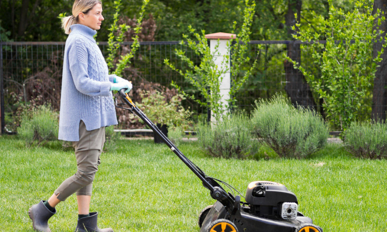 TRAVNJAK BEZ KOROVA I KRTICA Ovih 5 koraka pravi savršeno dvorište