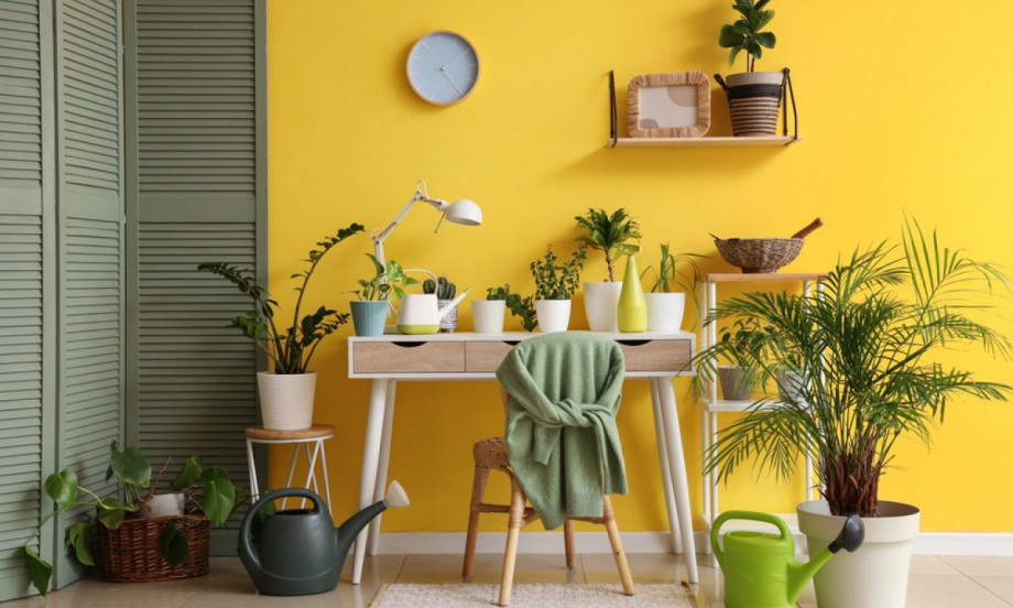 GREJANJE JE NEPRIJATELJ BILJAKA Evo kako pomoći sobnom cveću tokom hladnih meseci