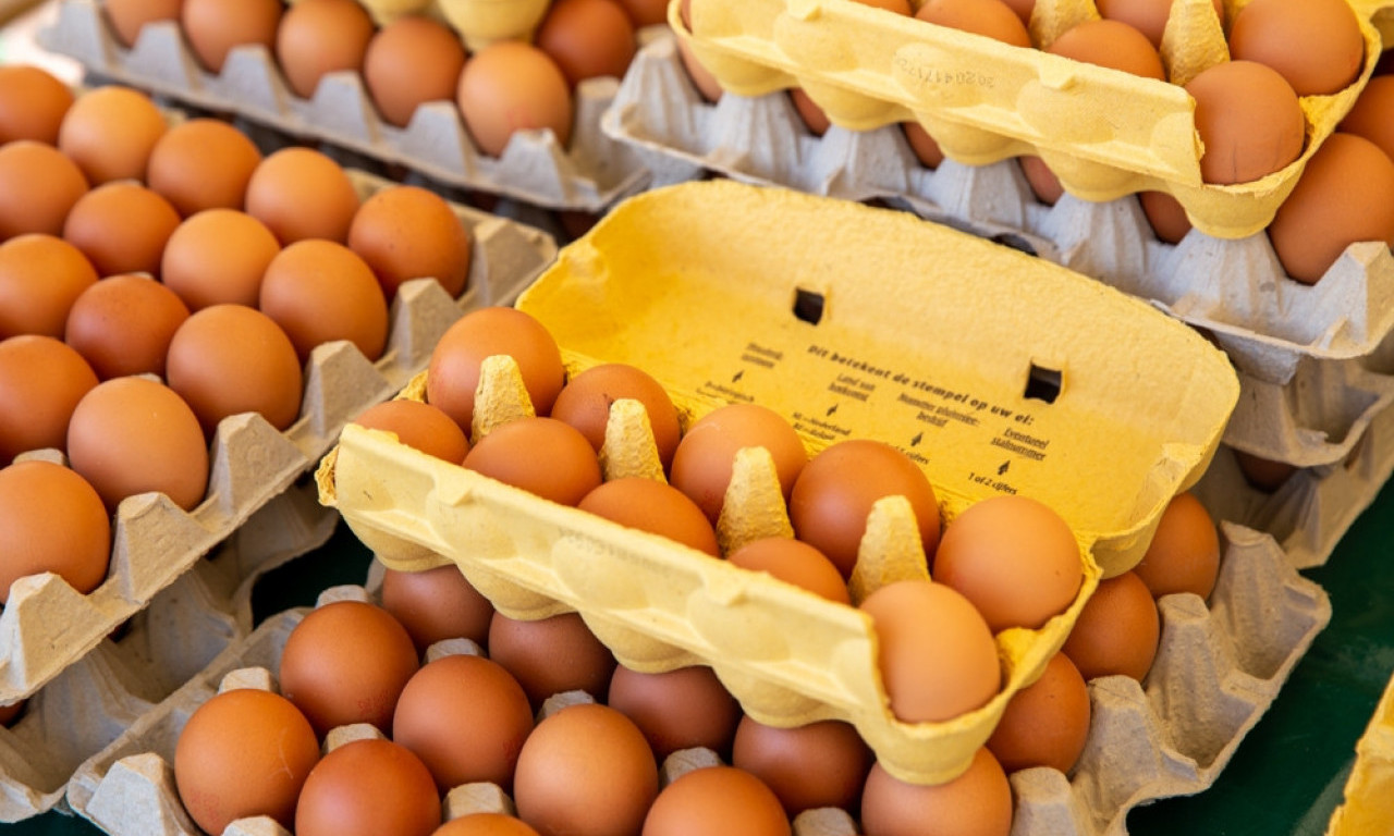 SALMONELA U JAJIMA NE MOŽE DA SE VIDI Ovo su znaci da jaje ipak odmah treba baciti