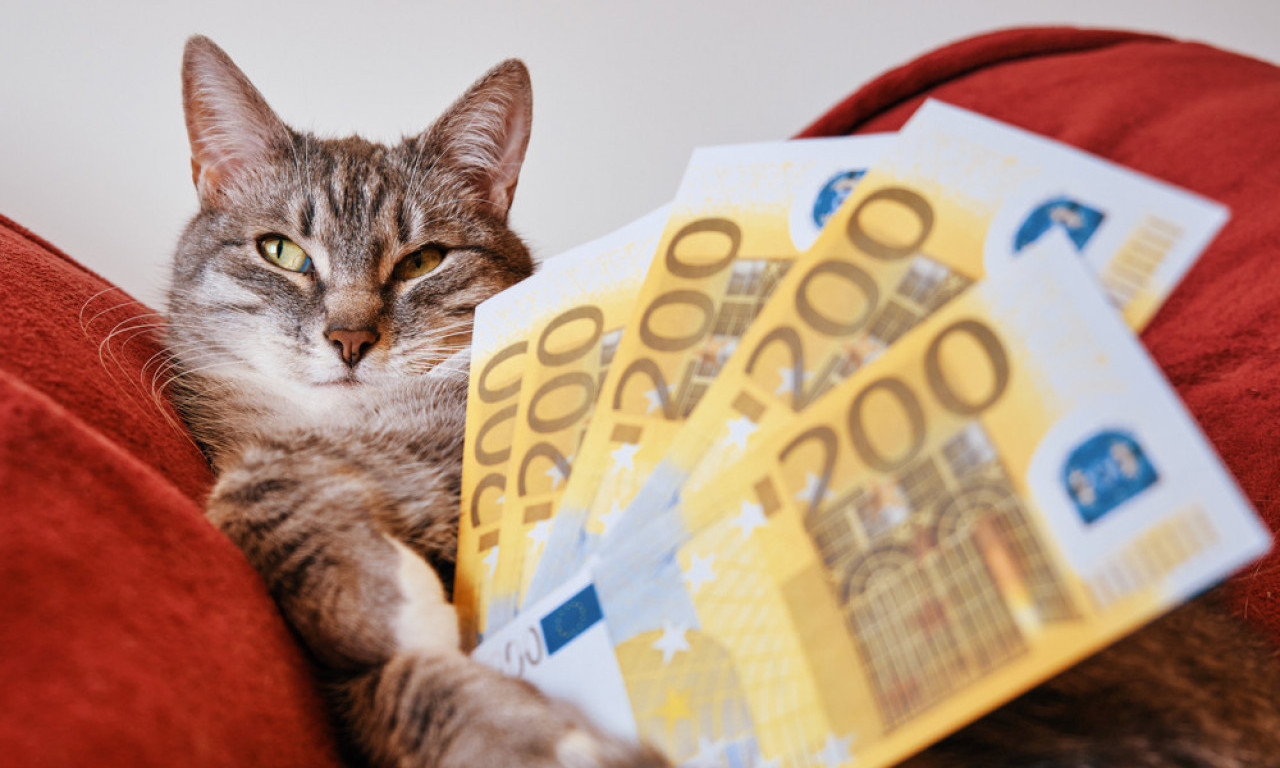 KIŠA NOVCA ZA OVA TRI HOROSKOPSKA ZNAKA Mart 2026. donosi prilike