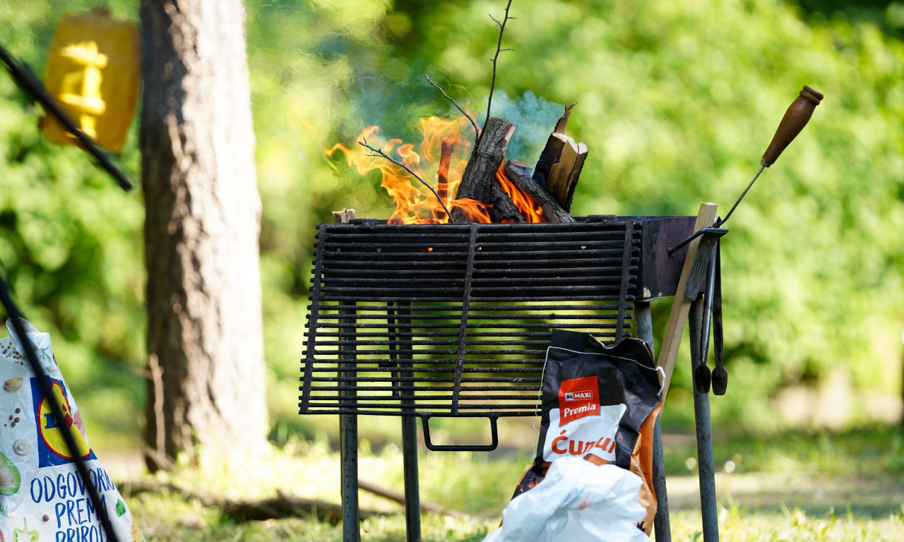 KOLIKO ĆEVAPA I PLJESKAVICA JE DOVOLJNO ZA 1. MAJ? Evo tačne računice da ne bacate pare