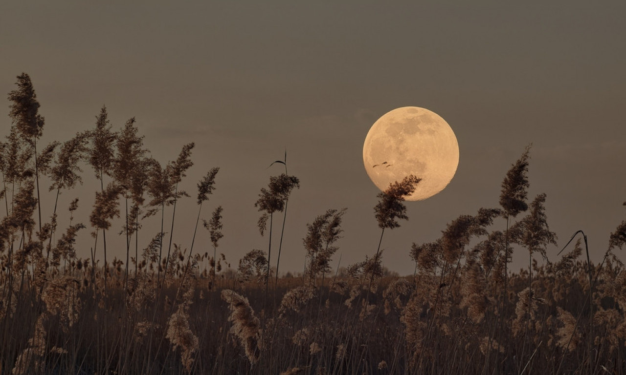 TRI STVARI KOJE VEČERAS MORATE URADITI Iskoristite pun mesec za novu energiju!