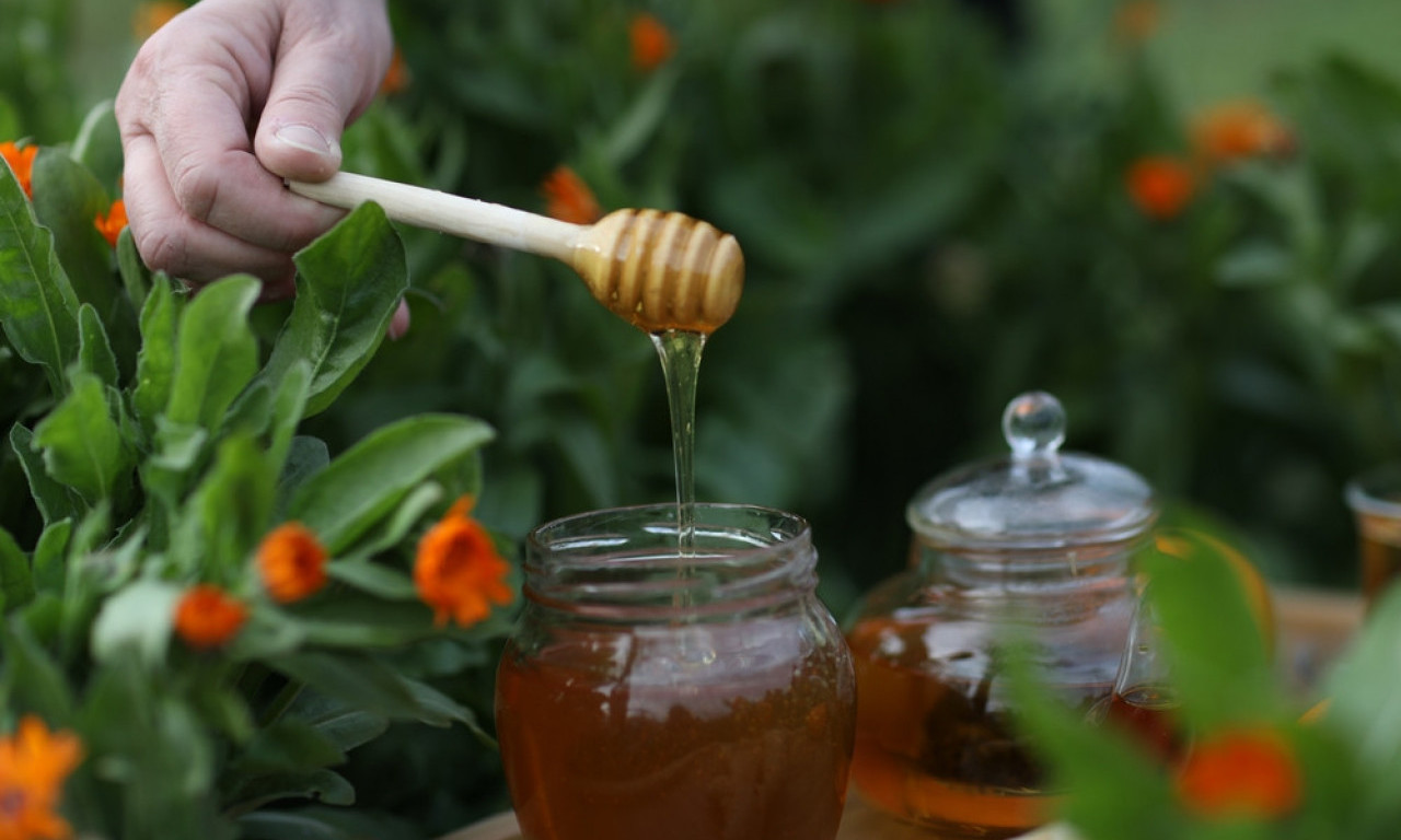 MED ILI JAVOROV SIRUP Koji zaslađivač je bolji izbor?