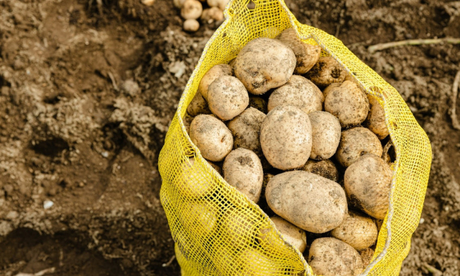 NEĆETE VIŠE GULITI KROMPIR NOŽEM Ovaj trik čisti ga za 10 sekundi bez prljavih ruku