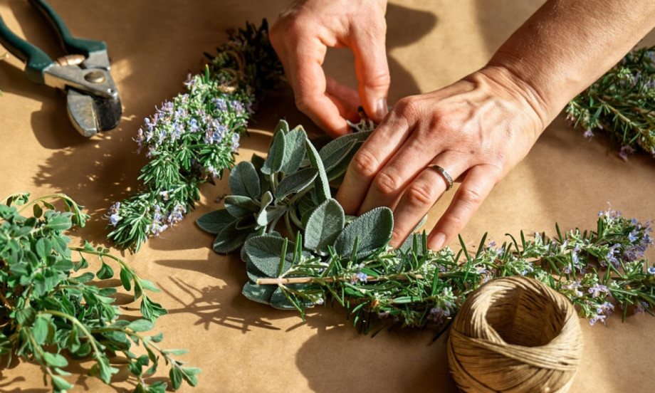 OVU BILJKU IMATE U KUHINJI, A NE ZNATE DA ČUVA MOZAK! Jača pamćenje i smiruje živce