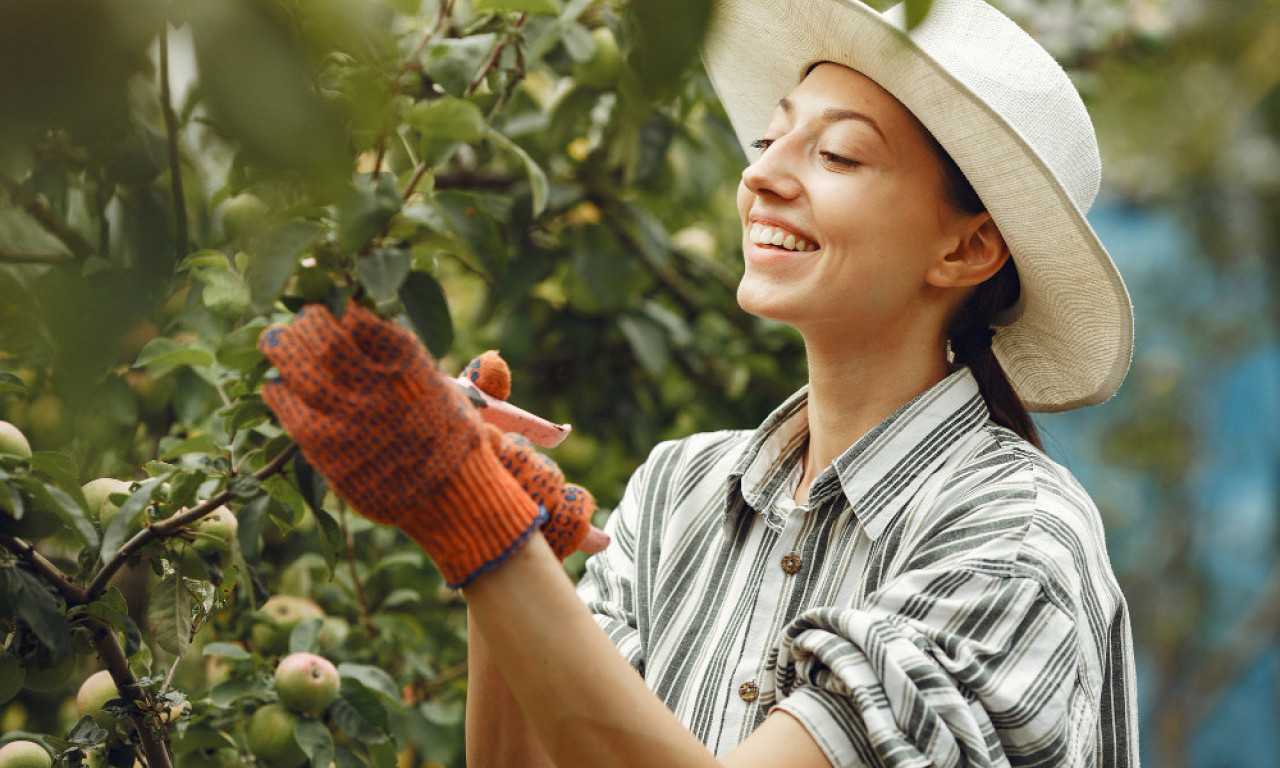 TRI GREŠKE KOJE U BAŠTI NE SMETE NAPRAVITI NA JESEN Sprečite štetočine i sačuvajte biljke do proleća