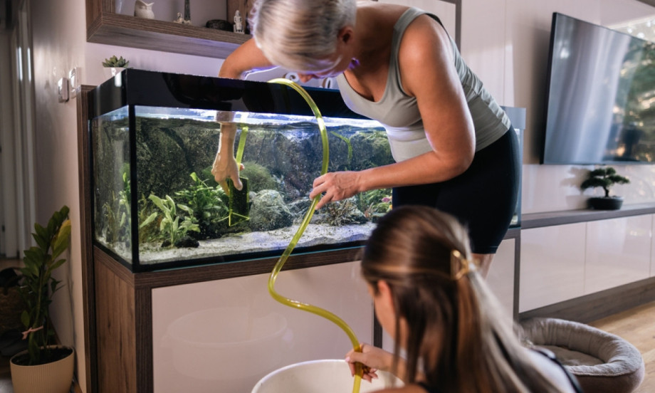 KAKO SE ČISTI AKVARIJUM Praktični saveti za negu ribica i bistre vode