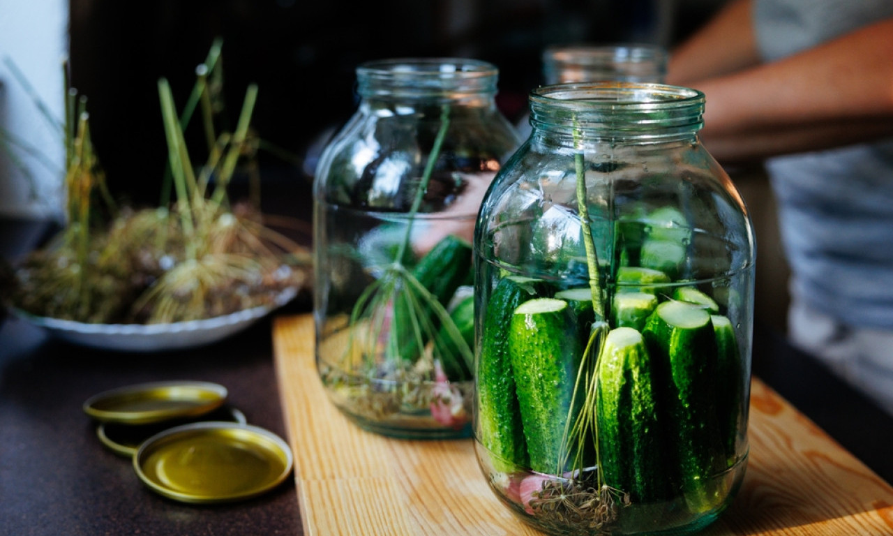 NAJBOLJI KISELI KRASTAVCI ZA ZIMNICU Tri prosta i proverena načina da vam uspeju
