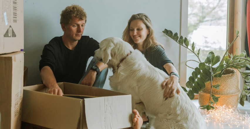 KAKO POMOĆI LJUBIMCIMA DA SE PRILAGODE NOVOM DOMU Jednostavni koraci za manje stresa i brže navikavanje