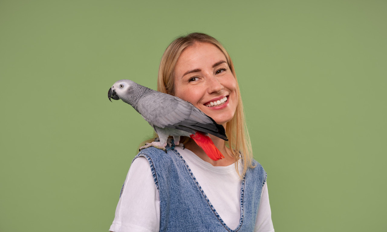 NAJPOPULARNIJA IMENA ZA PAPAGAJE Kiki, Maza, Zelenko - odaberite posebno ime za vašeg miljenika!