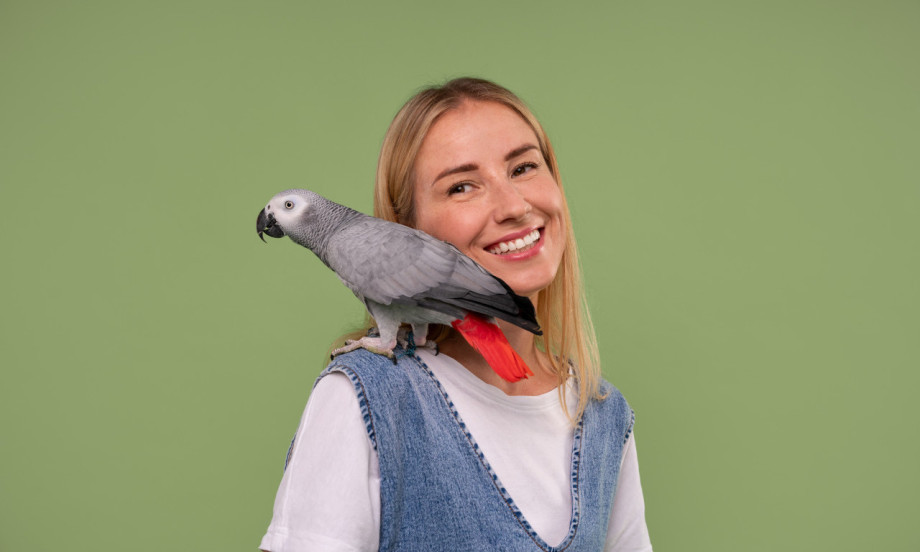 NAJPOPULARNIJA IMENA ZA PAPAGAJE Kiki, Maza, Zelenko - odaberite posebno ime za vašeg miljenika!