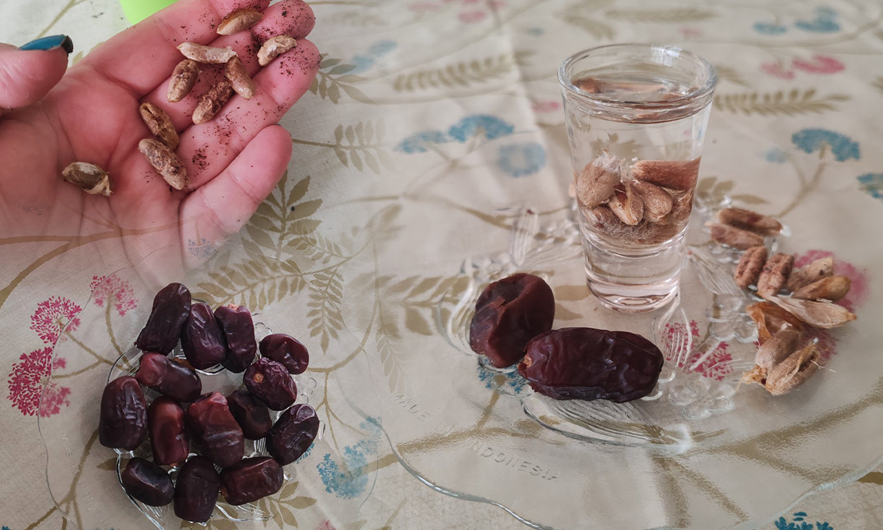 OD KOŠTICE DO PALME Otkrivamo vam kako da posadite urmu i uzgojite tropsku biljku u svom domu (FOTO/VIDEO)