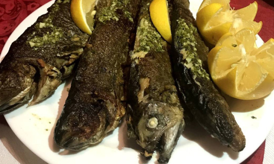 PASTRMKA KAKVU DOMAĆICE NAJVIŠE VOLE Laka priprema, bogata marinada i ukus za svaku slavsku trpezu