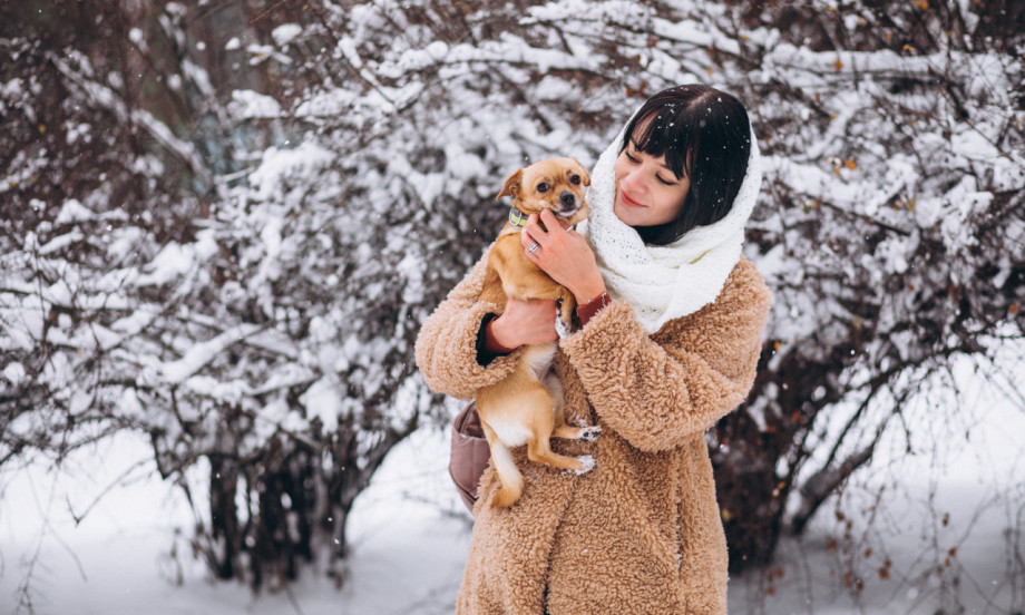 EVO KOJIH PET RASA PASA NE VOLE HLADNO VREME Minus i sneg im teško padaju