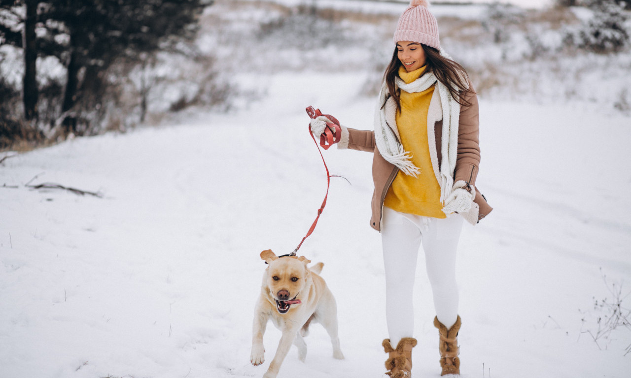 GREŠKE KOJE VLASNICI PRAVE TOKOM ZIMSKIH ŠETNJI PASA Evo na šta morate obratiti pažnju za zdravlje vašeg ljubimca!
