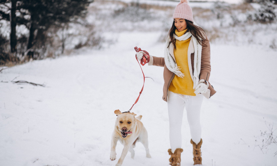 GREŠKE KOJE VLASNICI PRAVE TOKOM ZIMSKIH ŠETNJI PASA Evo na šta morate obratiti pažnju za zdravlje vašeg ljubimca!