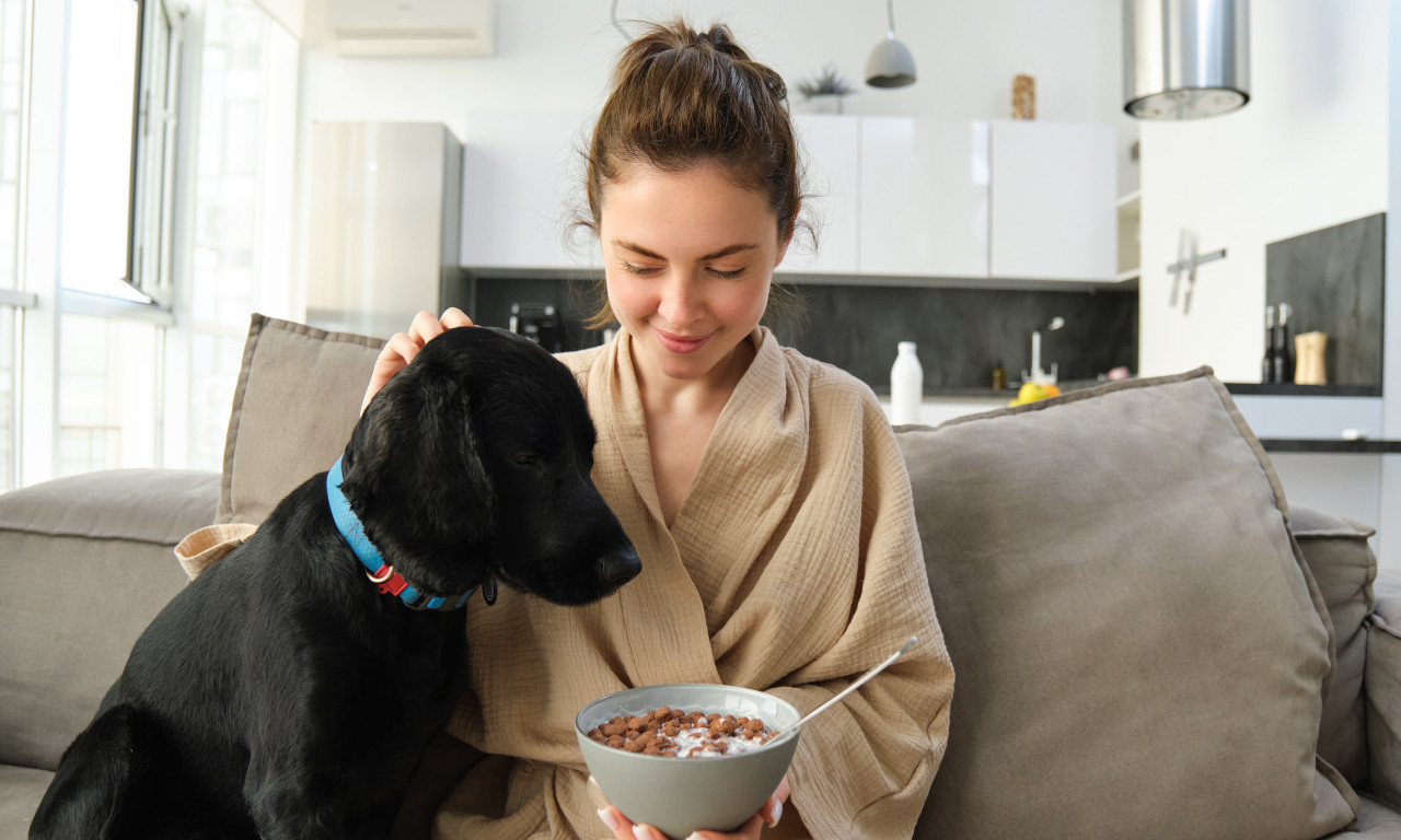IZ DOBRE NAMERE PRAVIMO NAJVEĆU GREŠKU SA LJUBIMCIMA Ove namirnice nikako ne dajte psu ili mački!