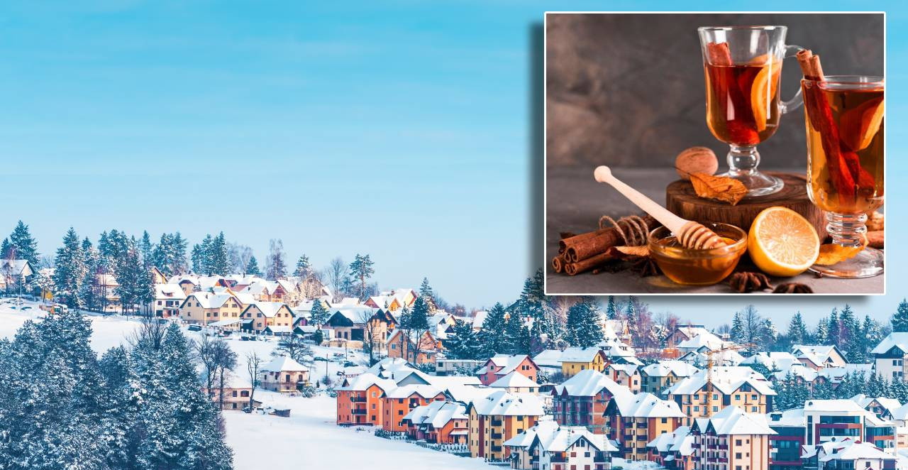 ZLATIBORSKI MAGIČNI NAPITAK LAKO SE PRAVI E, ovoga nam treba čaša dnevno, da nas očisti od slava i praznika!