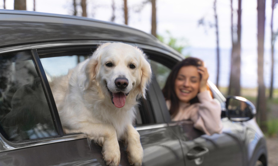 AKO SE PREPOZNATE – NE UZIMAJTE PSA: Ovih 5 tipova vlasnika pravi najviše grešaka (i pas to najviše oseti)