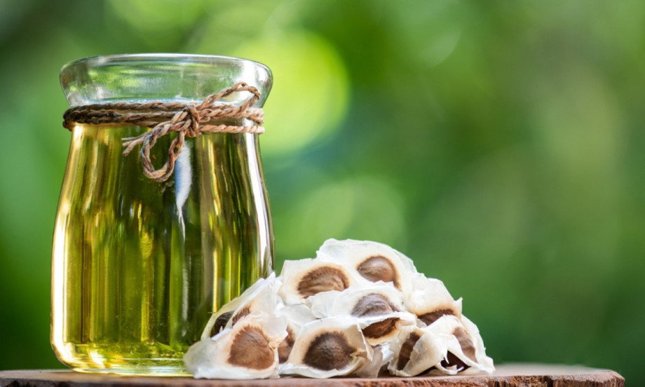 OVU BILJKU JE PIO FIDEL KASTRO Zovu je „zelenim zlatom“, a koristio ju je dok se borio s teškom bolešću