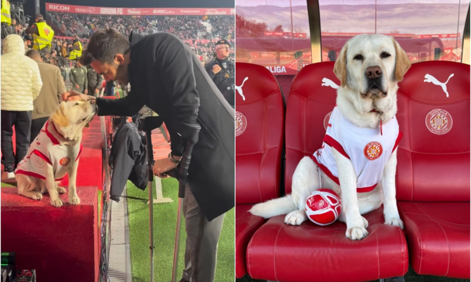 ĐIRONA DOBILA POSEBNOG ČLANA TIMA Upoznajte Kanju, zvaničnog psa kluba