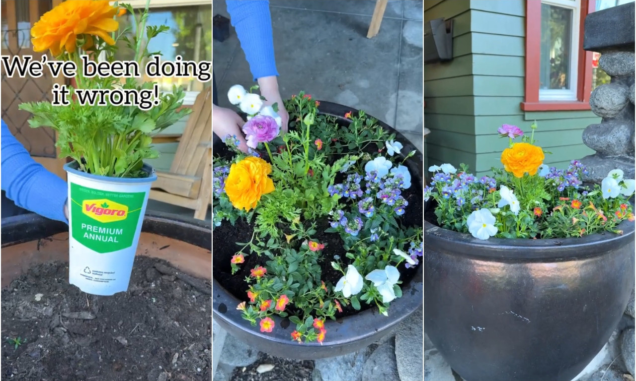 OVAKO SE PRAVILNO SADI CVEĆE Jedan trik pravi veliku razliku (DIY VIDEO)