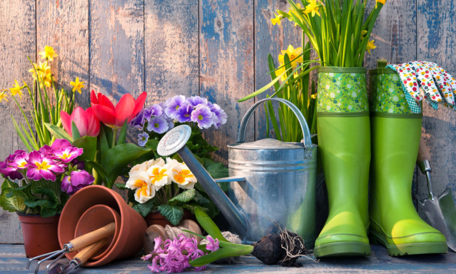 CVETNI KALENDAR ZA CELU GODINU Evo šta se sadi svakog meseca za baštu iz snova