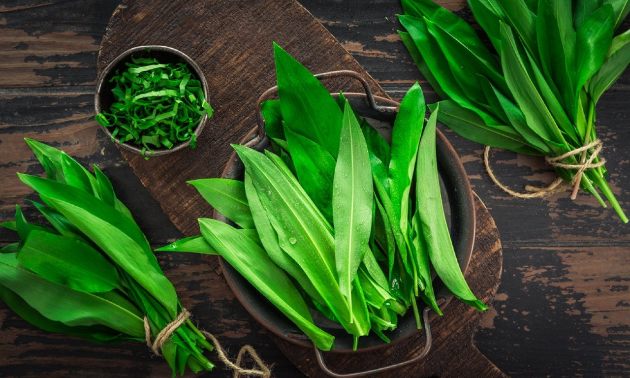 OVU BILJKU SVI TRAŽE U APRILU Čisti krv, creva i podiže imunitet