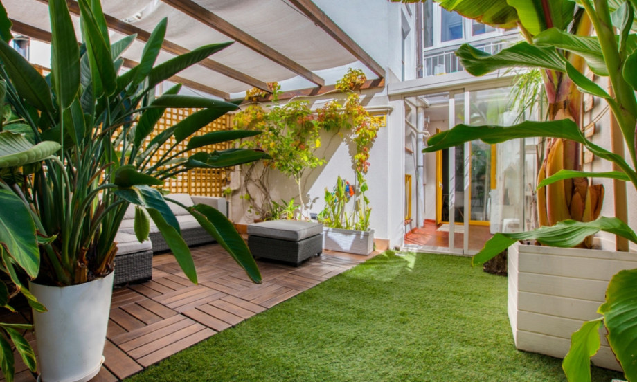 JUŽNA TERASA BEZ HLADA Ovo su biljke koje uspevaju i na jakom suncu