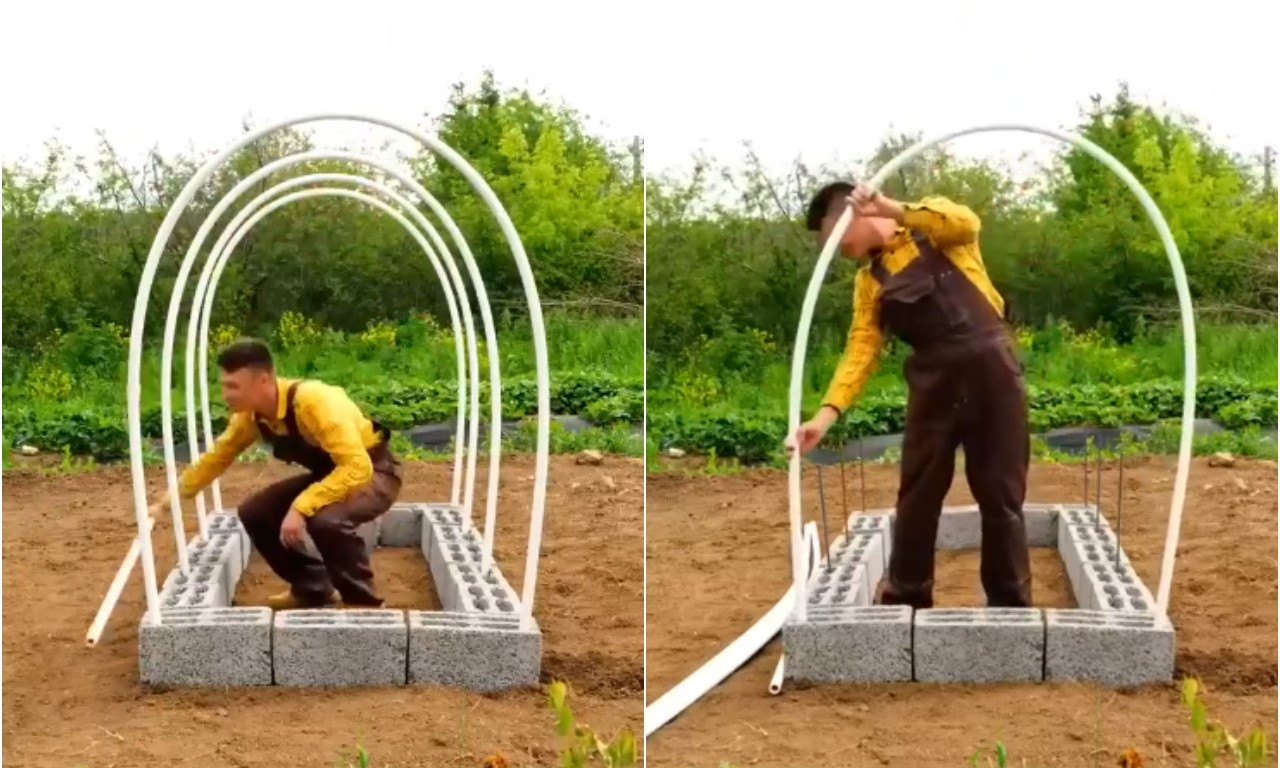 PLASTENIK ZA 5 MINUTA Genijalan trik koji će vam duplirati rod u bašti!