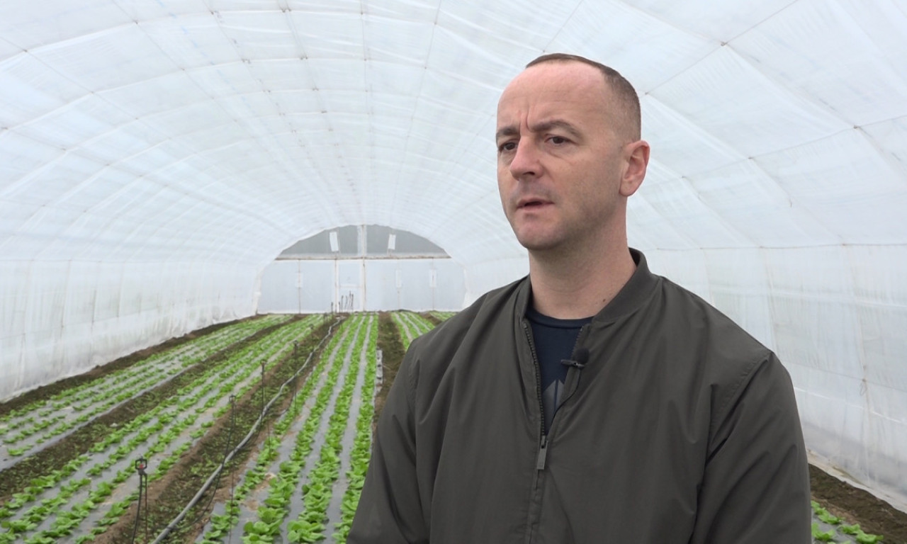 ŽIVOT POD PLASTENIKOM Priča o radu koji hrani porodicu