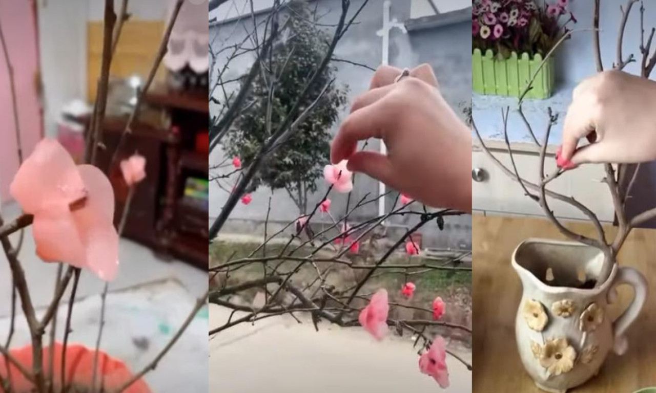 NAPRAVITE CVETNU MAGIJU U KUĆI! Ovaj trik sa voskom pretvara grančicu u prolećni dekor (VIDEO)