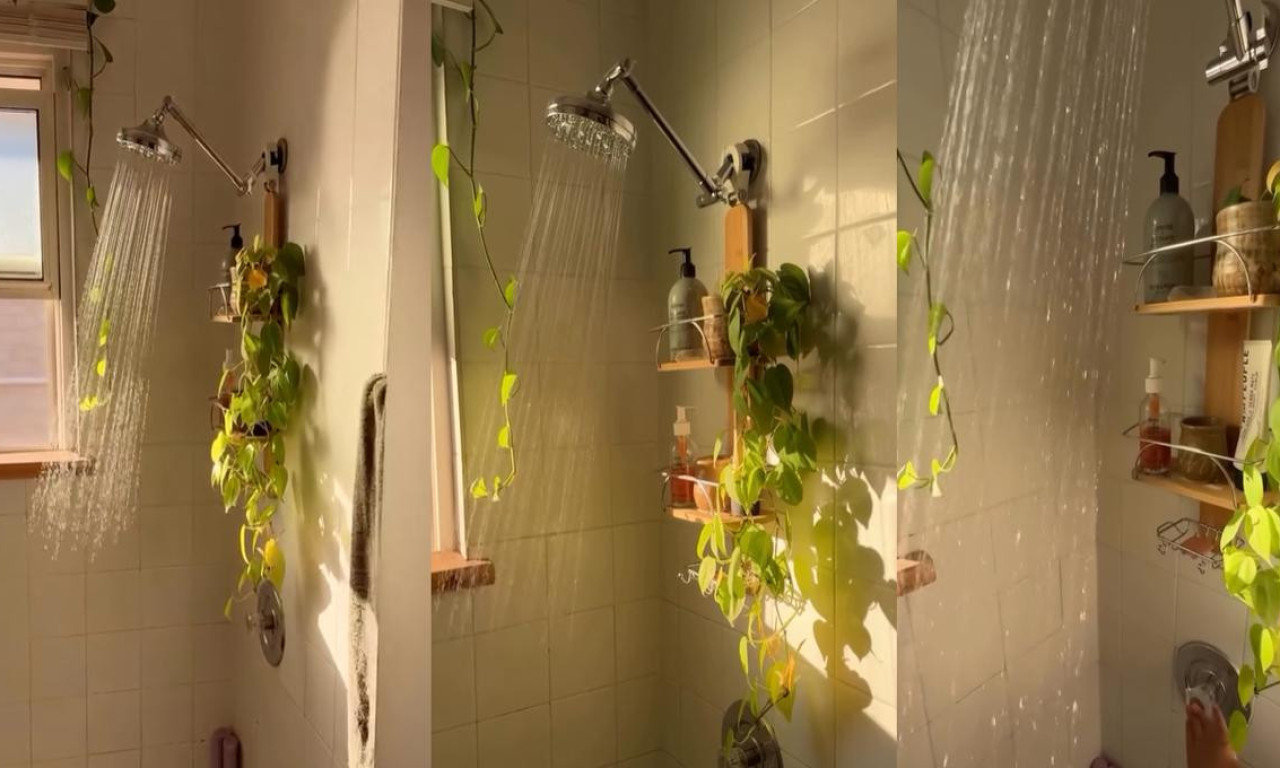 UNESITE PRIRODU U KUPATILO! Cveće u tuš kabini je trik koji osvaja na prvi pogled (DIY VIDEO)