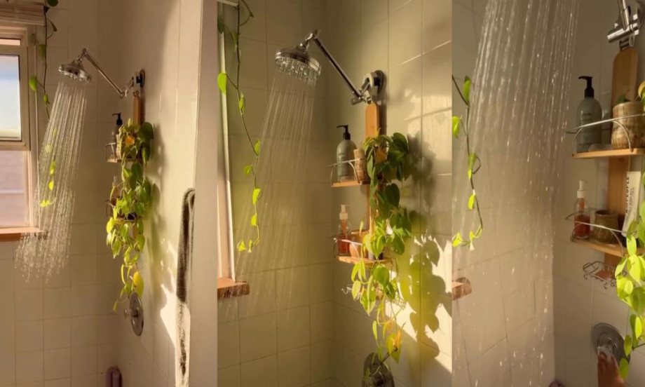 UNESITE PRIRODU U KUPATILO! Cveće u tuš kabini je trik koji osvaja na prvi pogled (DIY VIDEO)