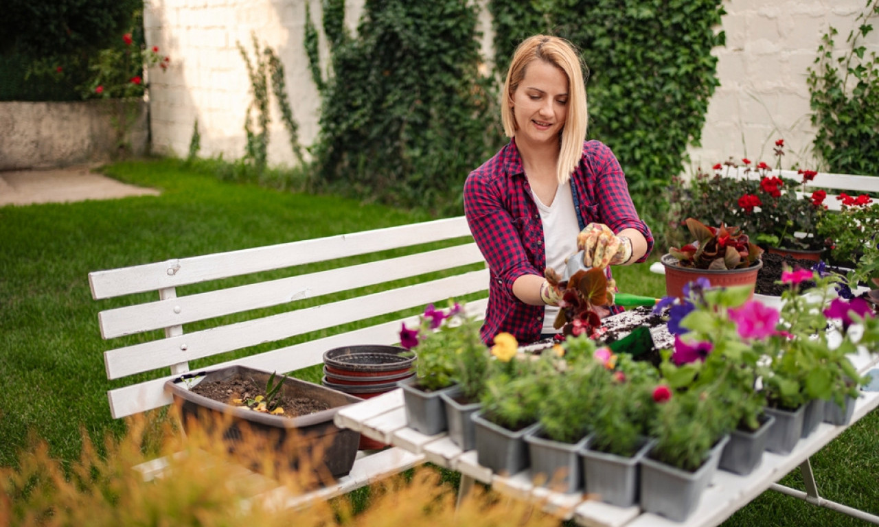 CVEĆE SADITE OVOG PROLEĆA PAMETNO Sunce ili hlad odlučuju šta će vam bujati na terasi i u dvorištu