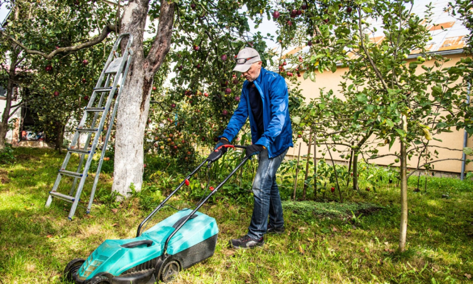 NAJVEĆE GREŠKE U DVORIŠTU Zbog njih bašta izgleda loše, a biljke propadaju