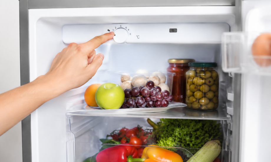 NA KOLIKO STEPENI BI TREBALO DA PODESITE FRIŽIDER LETI? Evo koja temperatura najbolje čuva hranu