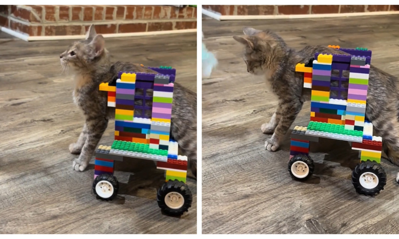 DECA SU MAČKI NAPRAVILA KOLICA OD LEGO KOCKICA Njihova ideja oduševila je internet (VIDEO)